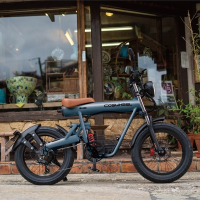 ★未使用★COSWHEEL MIRAI S10.0Ahバッテリー COSWHEEL MIRAI・MIRAI S共通】バッテリー ☆電動バイク専用