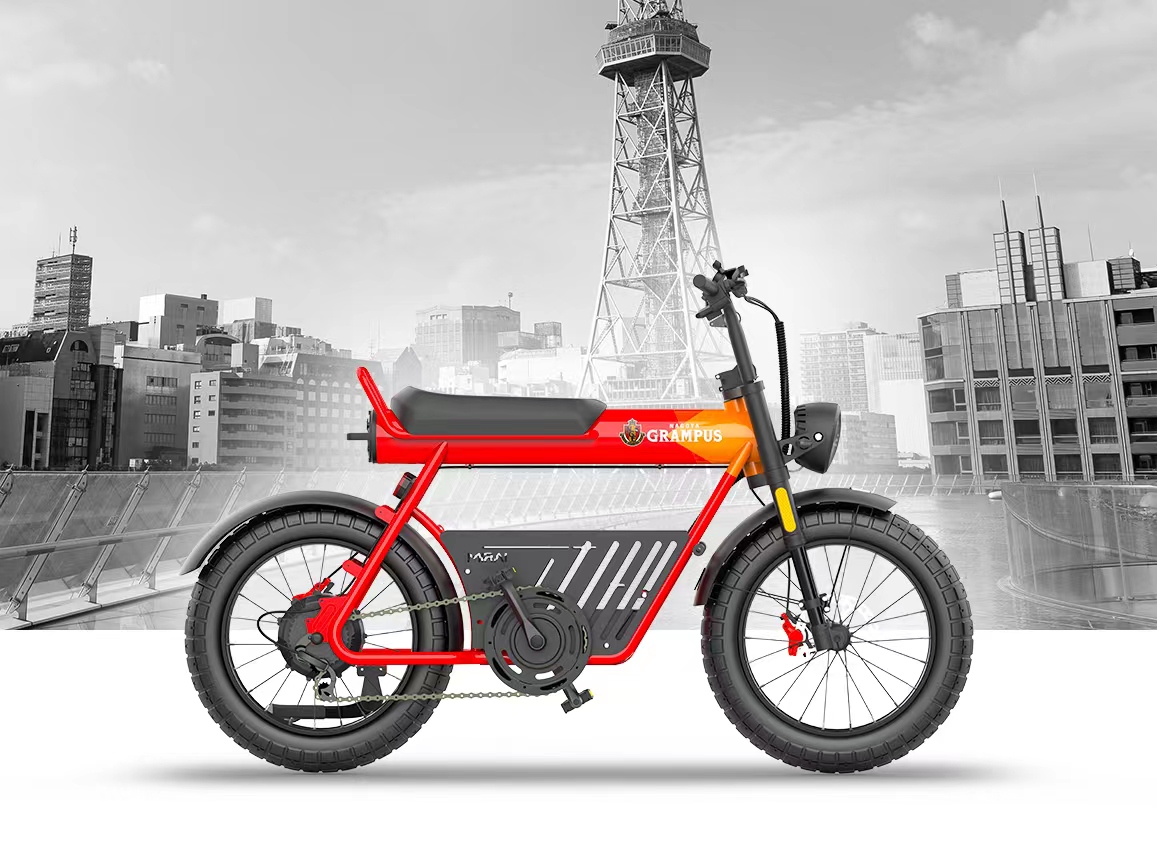 ABOUT COSWHEEL MIRAI